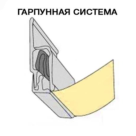 shemy_krep